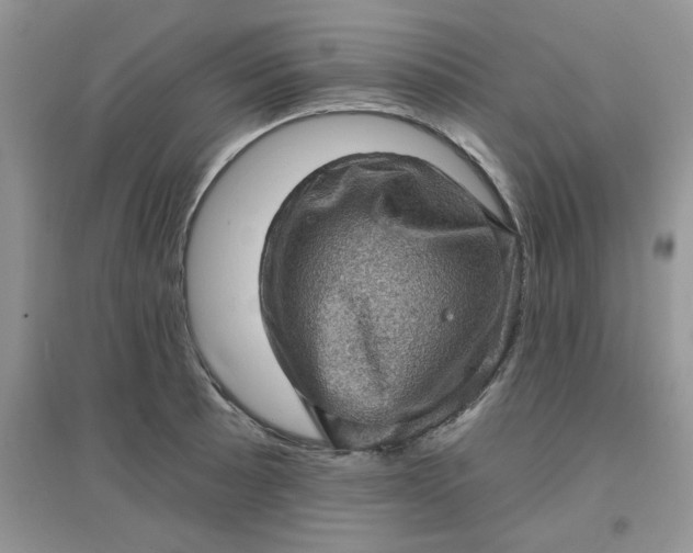 X0000097631089200803142019