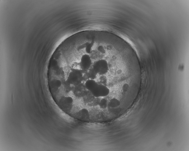 X0000097631091200803142019