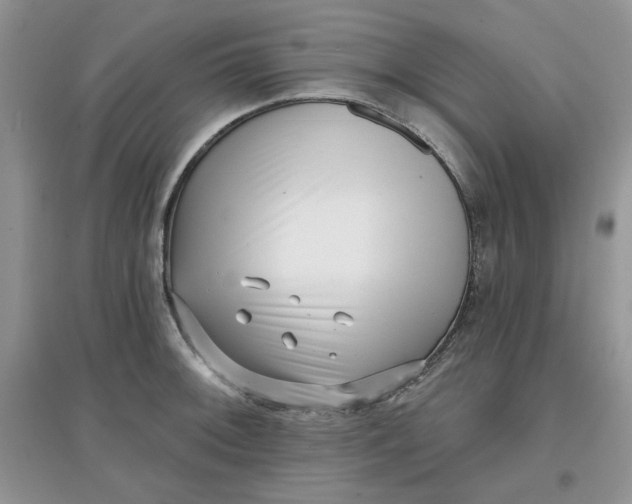 X0000097631092200803142019