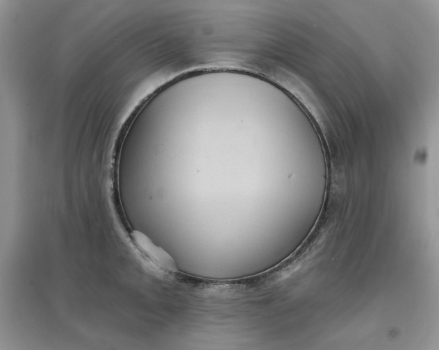 X0000097631093200803142019