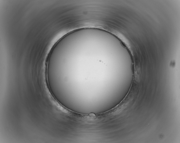 X0000097631096200803142019