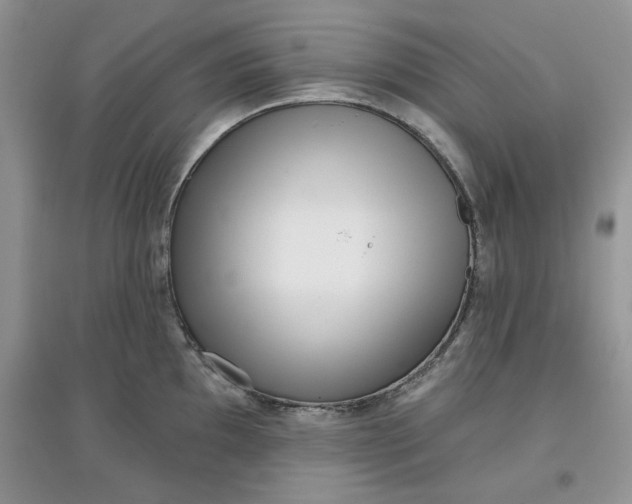 X0000097631097200803142019