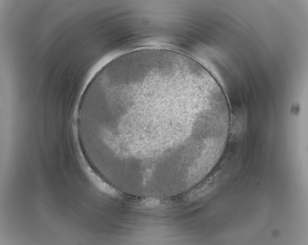 X0000097631098200803142019