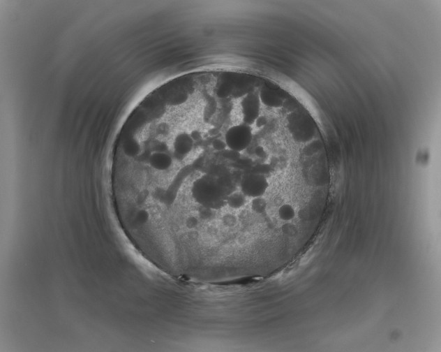 X0000097631099200803142019