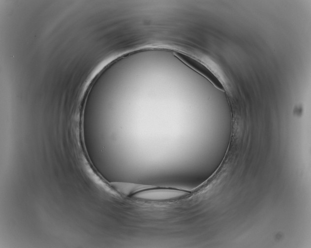 X0000097631100200803142019