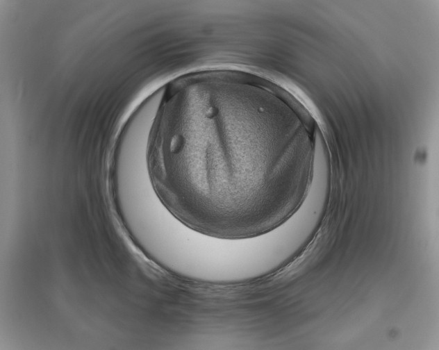 X0000097631101200803142019