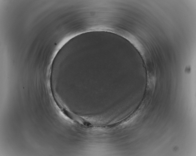 X0000097631102200803142019