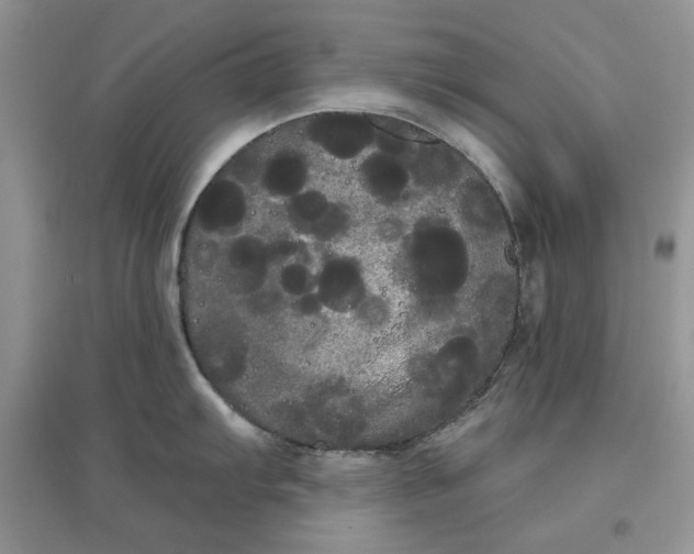 X0000097631103200803142019