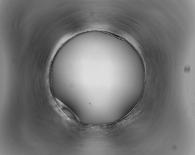 X0000097631104200803142019