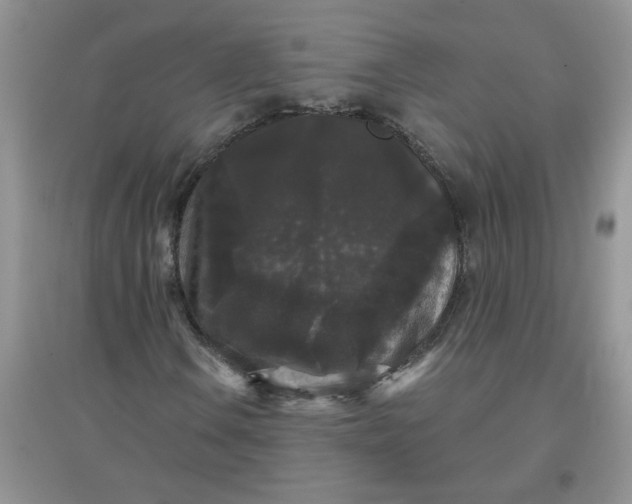 X0000097631106200803142018