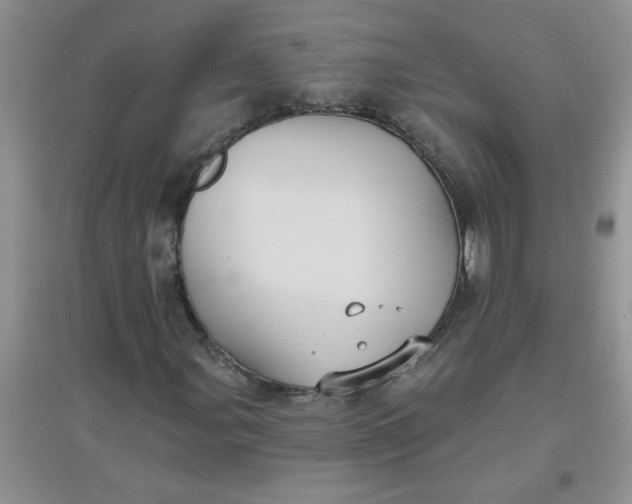 X0000097631107200803142018