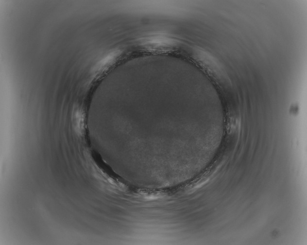 X0000097631108200803142018