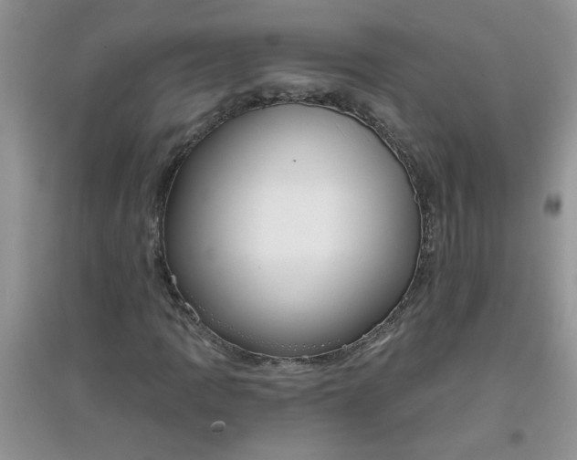 X0000097631109200803142018