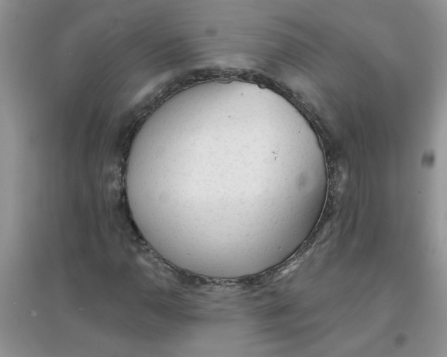 X0000097631110200803142018