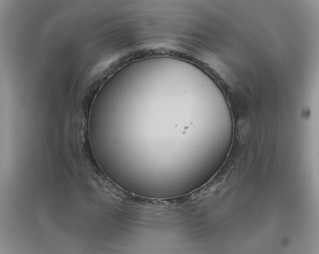 X0000097631111200803142018