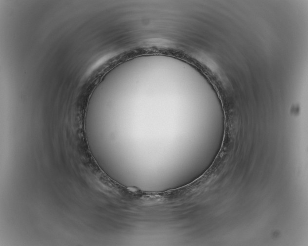 X0000097631112200803142018