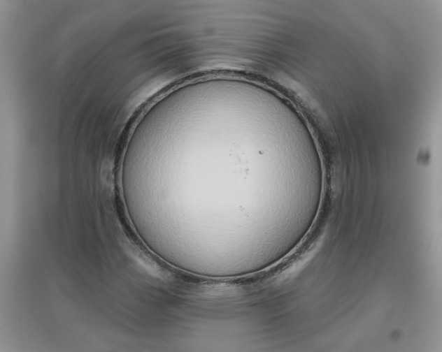 X0000097631113200803142018