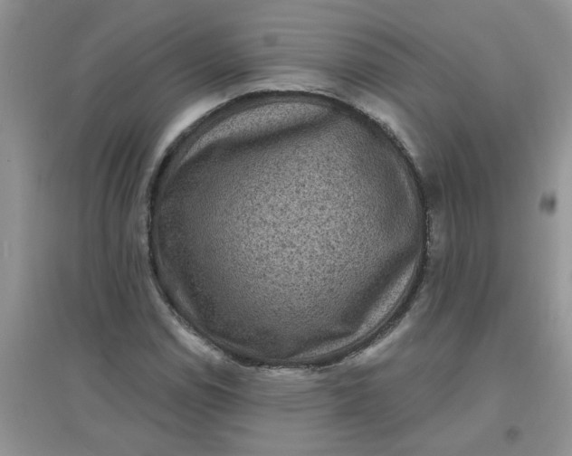 X0000097631114200803142018