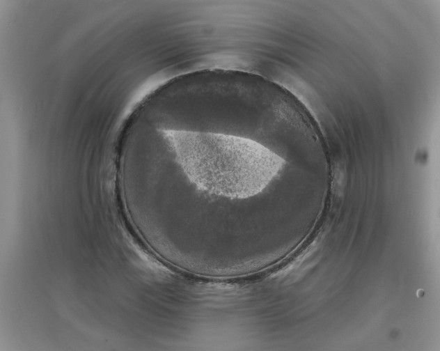 X0000097631115200803142018