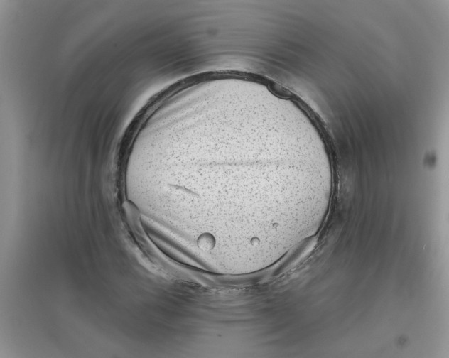 X0000097631116200803142018