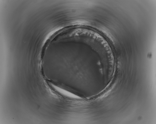 X0000097631117200803142018