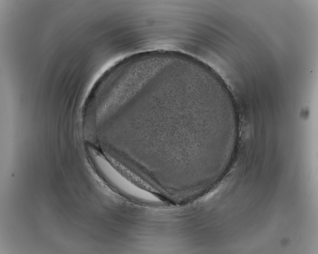 X0000097631118200803142018