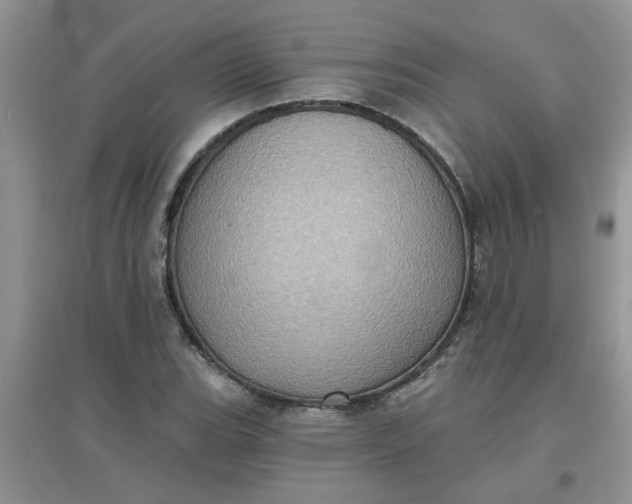 X0000097631119200803142018