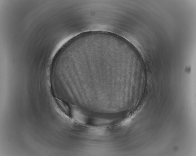 X0000097631120200803142018