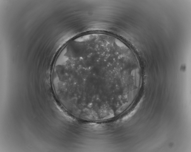 X0000097631121200803142018