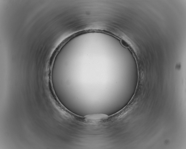 X0000097631124200803142018