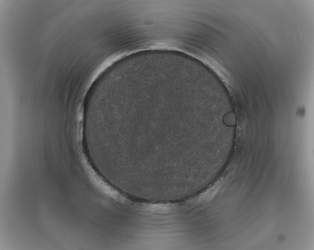 X0000097631126200803142018