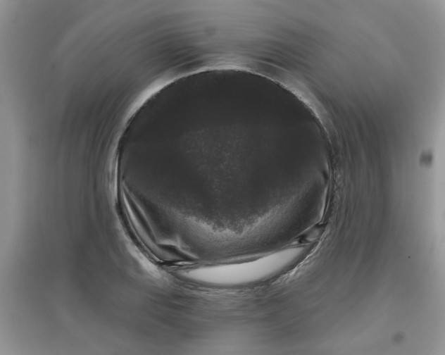 X0000097631127200803142018