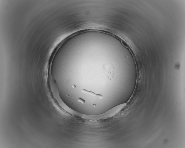 X0000097631128200803142018