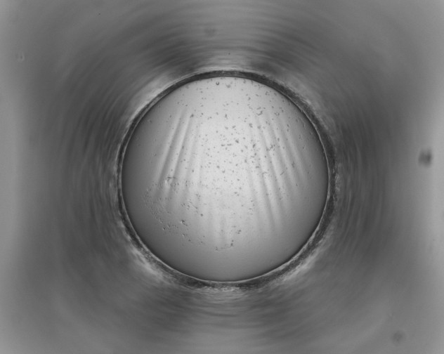 X0000097631129200803142018