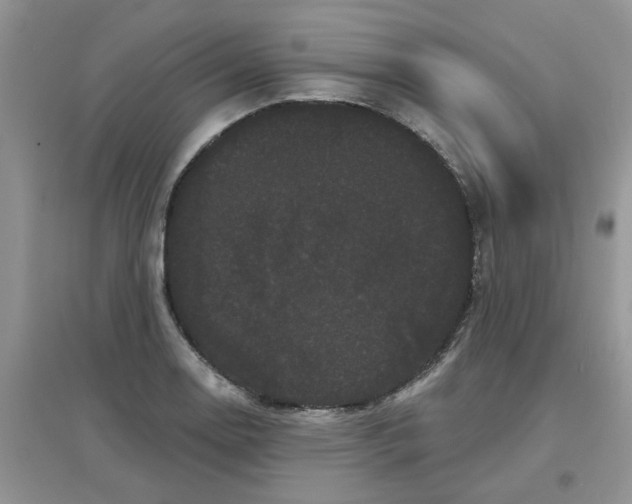 X0000097631130200803142019