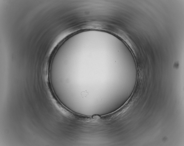 X0000097631131200803142019