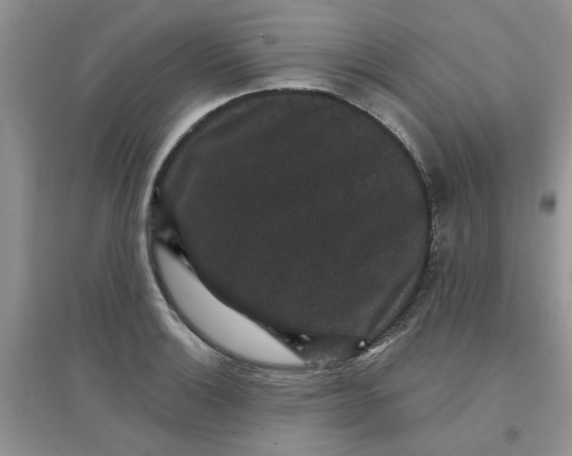 X0000097631132200803142019