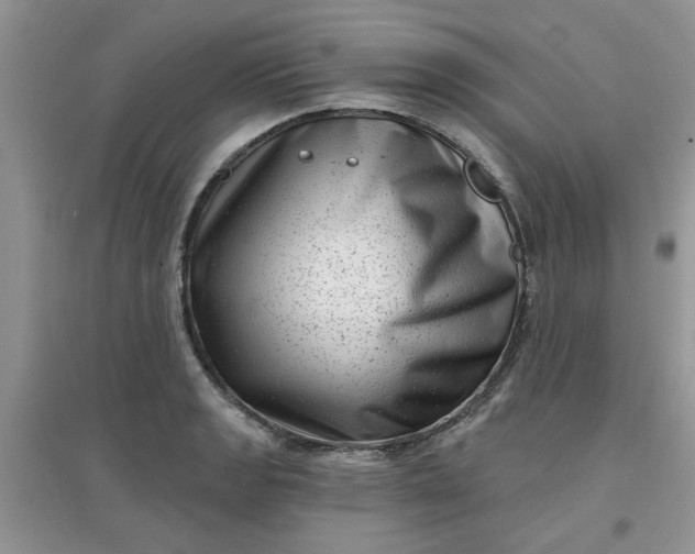 X0000097631133200803142019