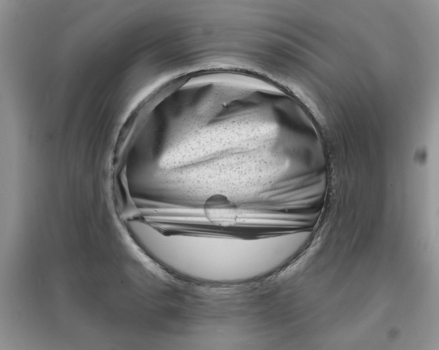 X0000097631134200803142019