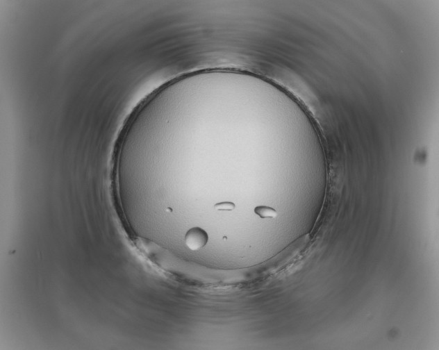 X0000097631135200803142019