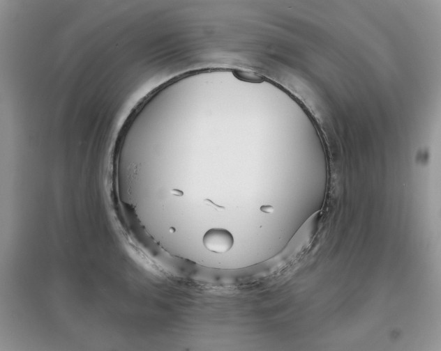 X0000097631136200803142019