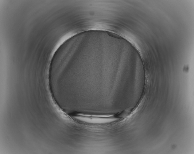 X0000097631138200803142019