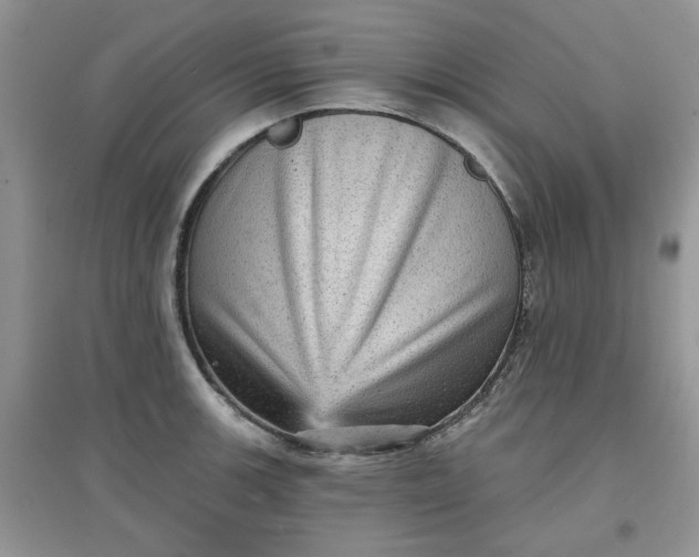 X0000097631139200803142019