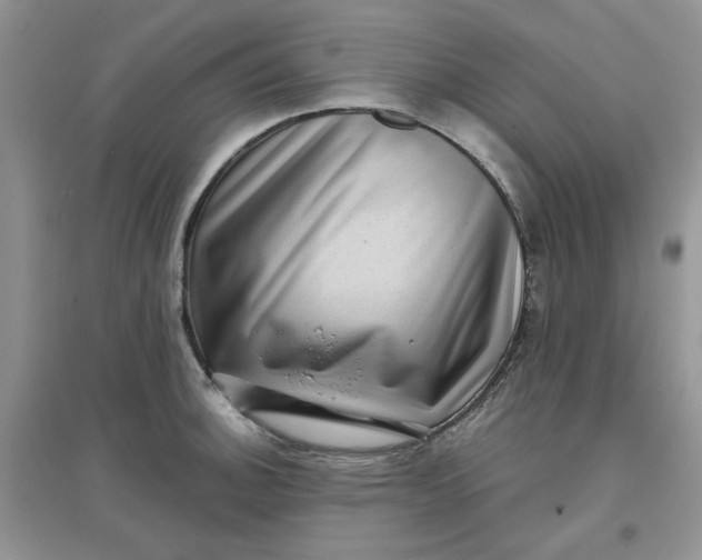 X0000097631140200803142019