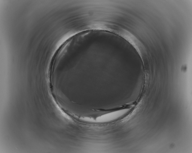 X0000097631141200803142019