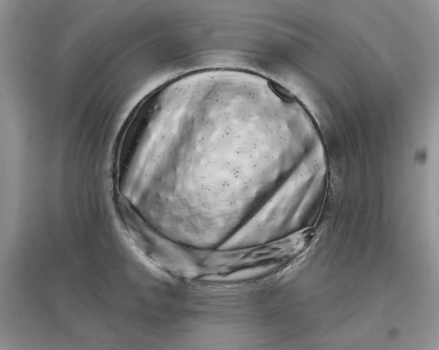 X0000097631142200803142019