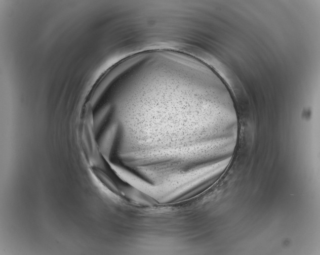 X0000097631143200803142019