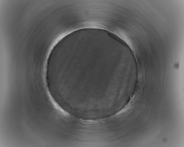 X0000097631144200803142019