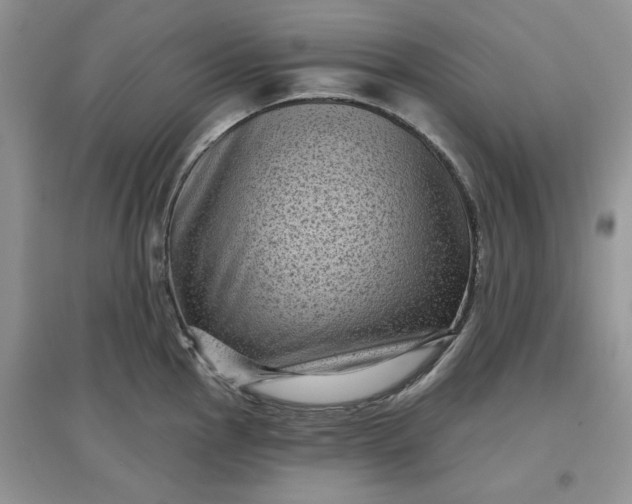 X0000097631145200803142019