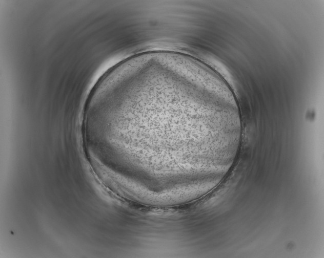 X0000097631146200803142019